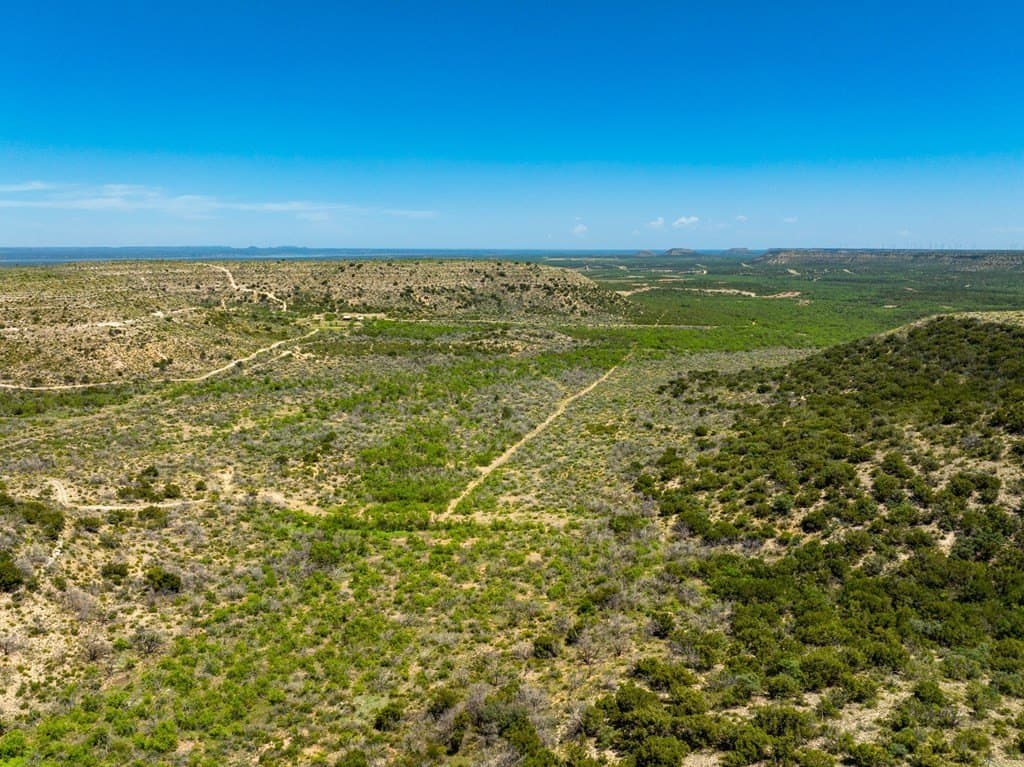645 acres in Coke County - photo 19