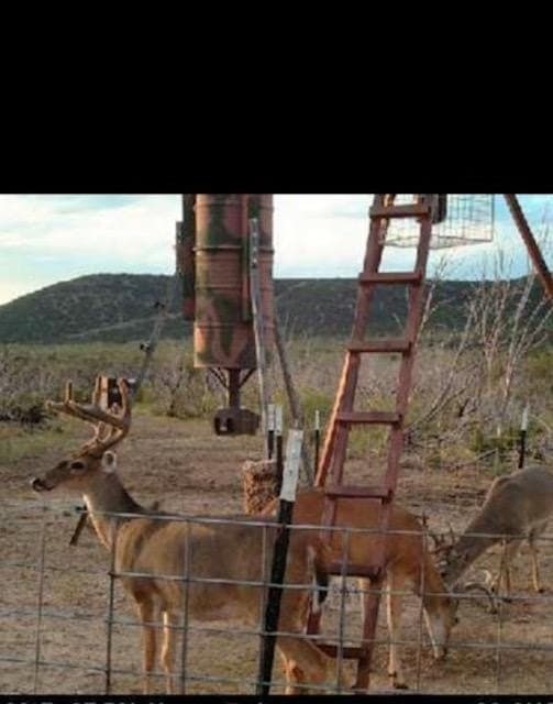 645 acres in Coke County - photo 83