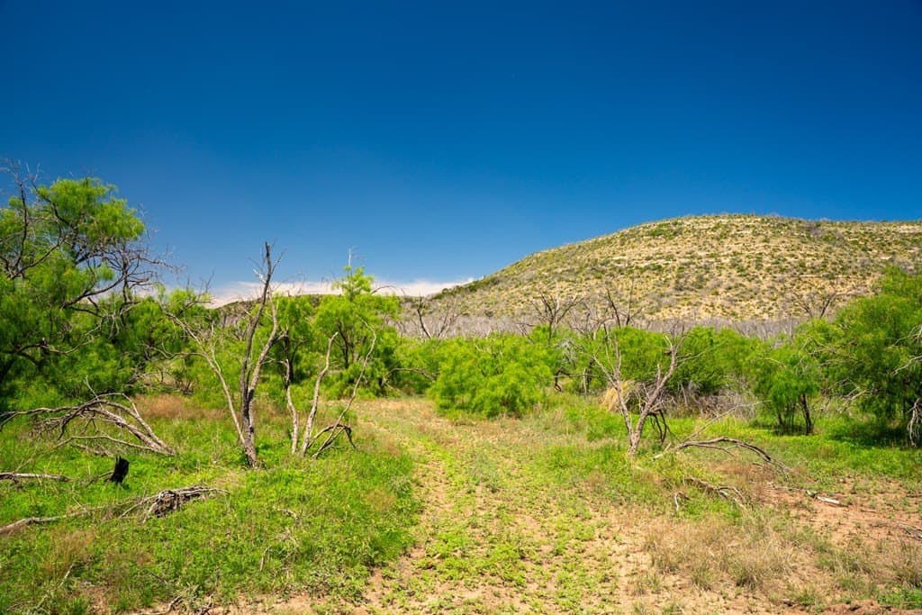 645 acres in Coke County - photo 68