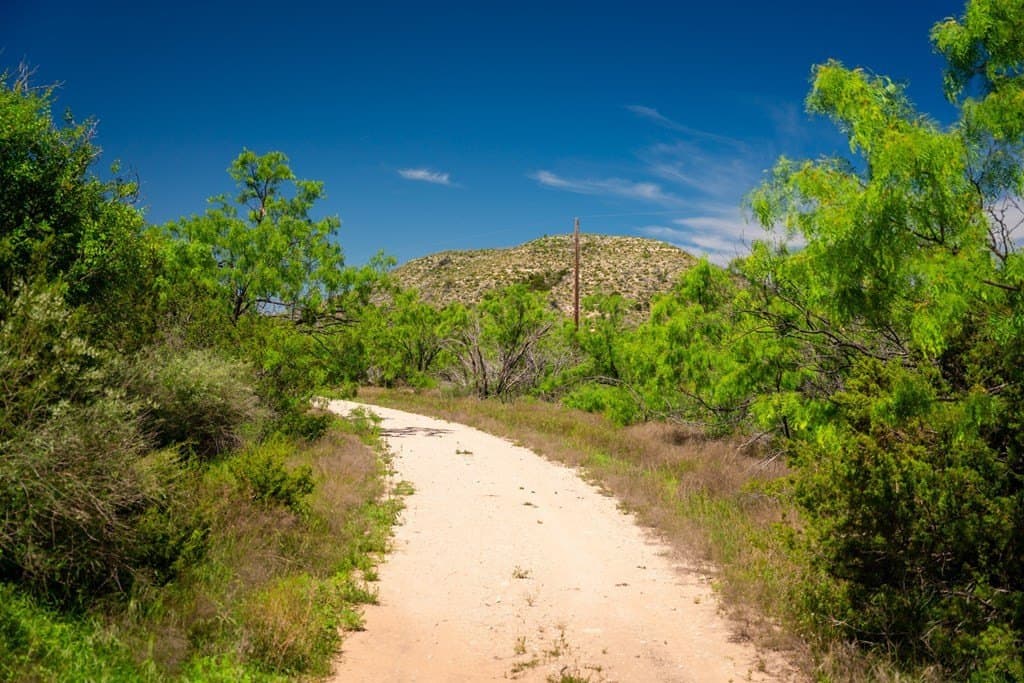 645 acres in Coke County - photo 28