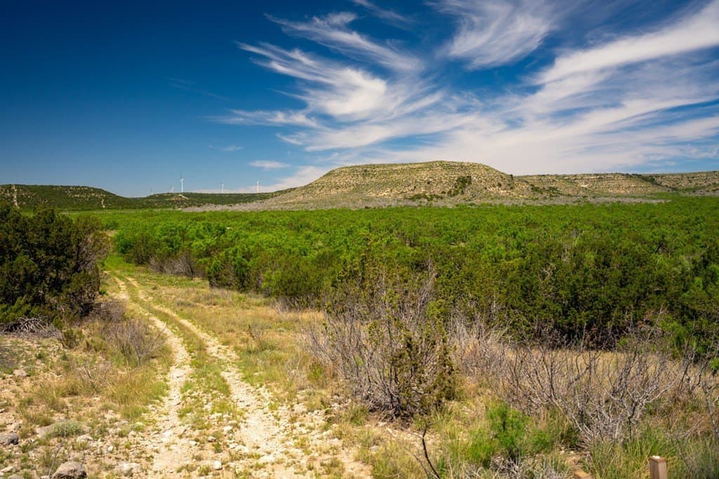 645 acres in Coke County - photo 53
