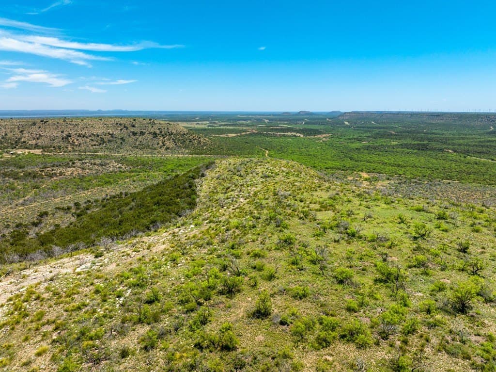 645 acres in Coke County - photo 2