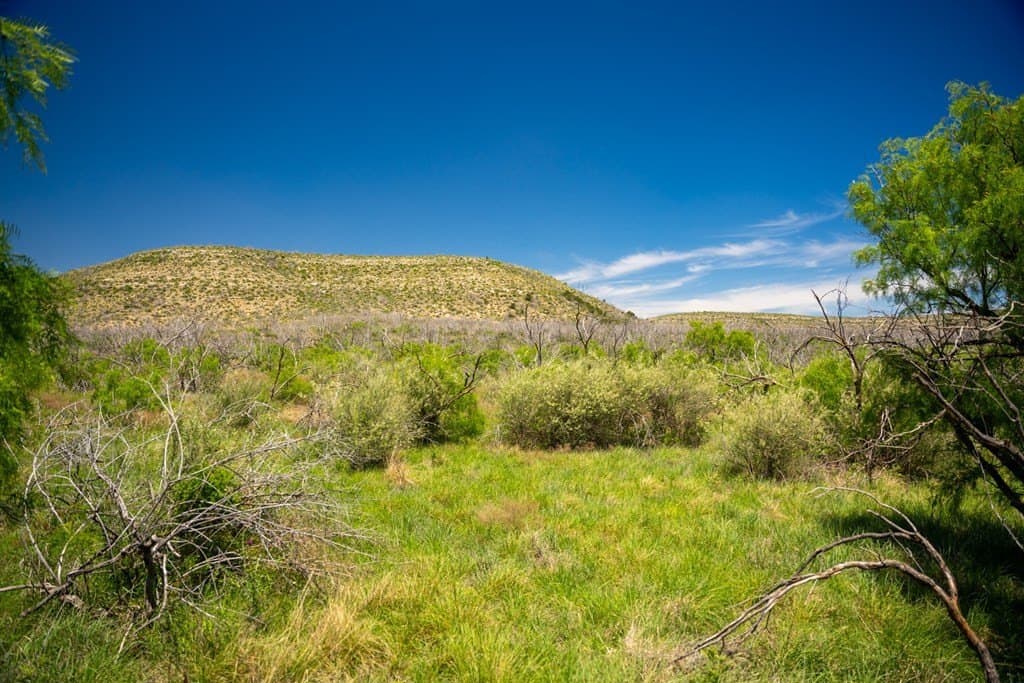 645 acres in Coke County - photo 72