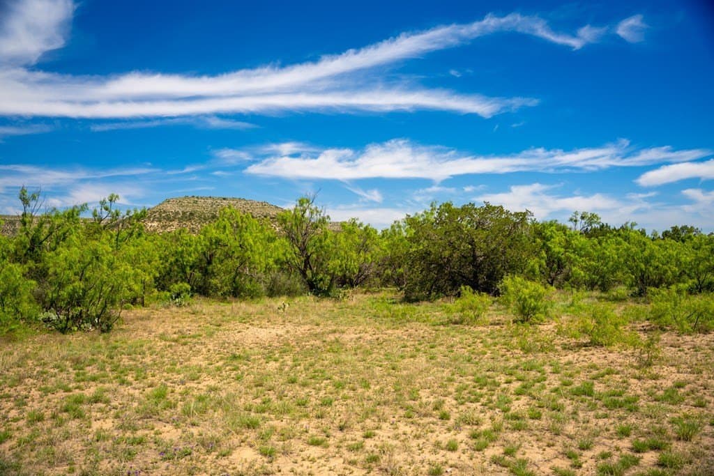 645 acres in Coke County - photo 49