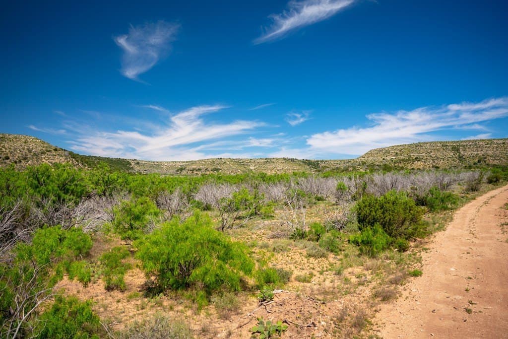 645 acres in Coke County - photo 27