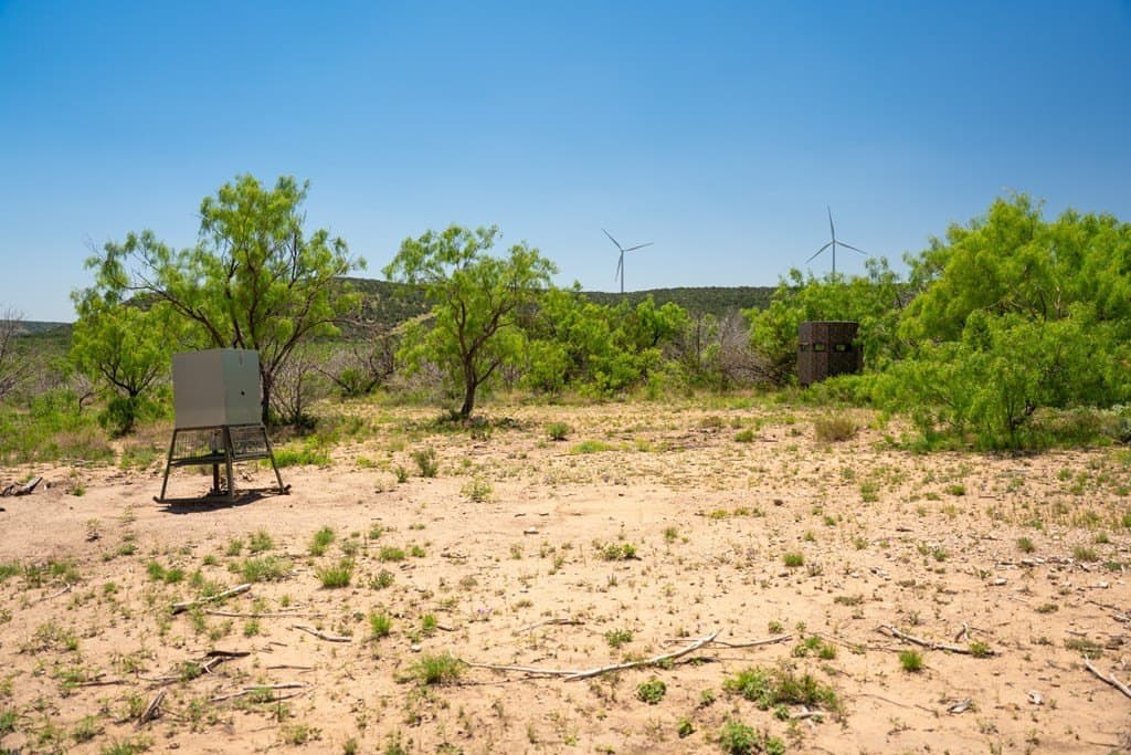 645 acres in Coke County - photo 79