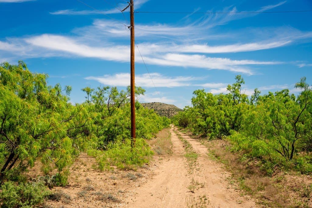 645 acres in Coke County - photo 66
