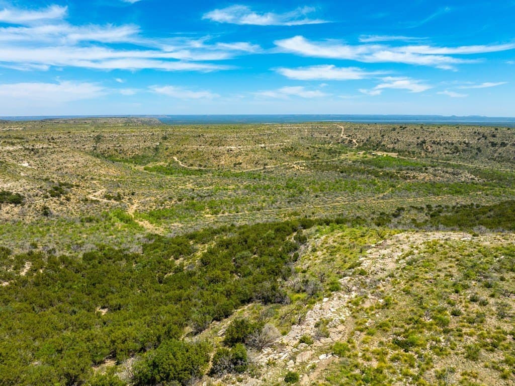 645 acres in Coke County - photo 4