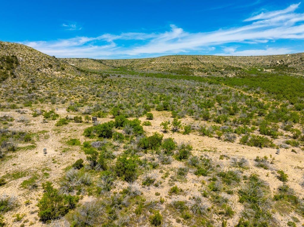 645 acres in Coke County - photo 5
