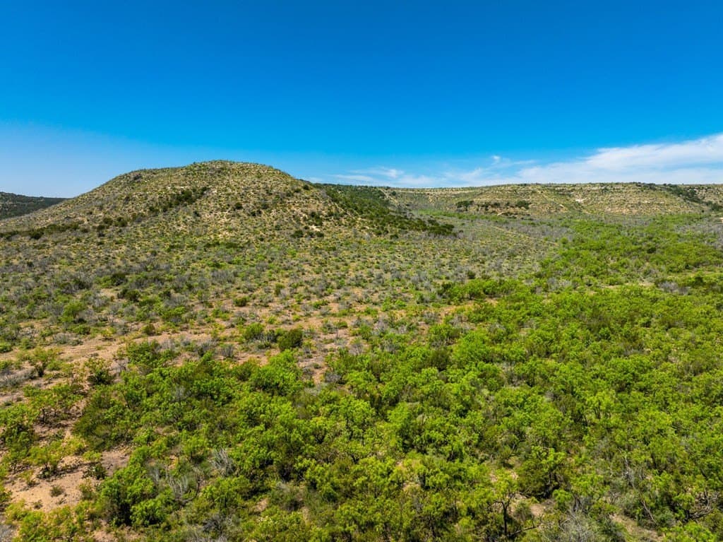 645 acres in Coke County - photo 8