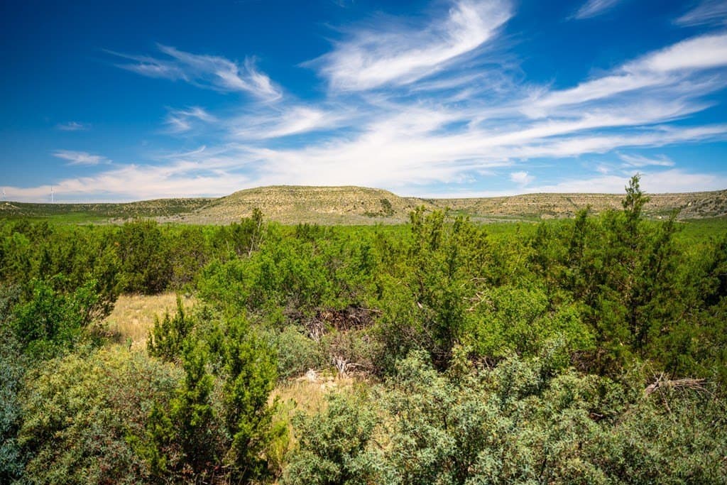 645 acres in Coke County - photo 63