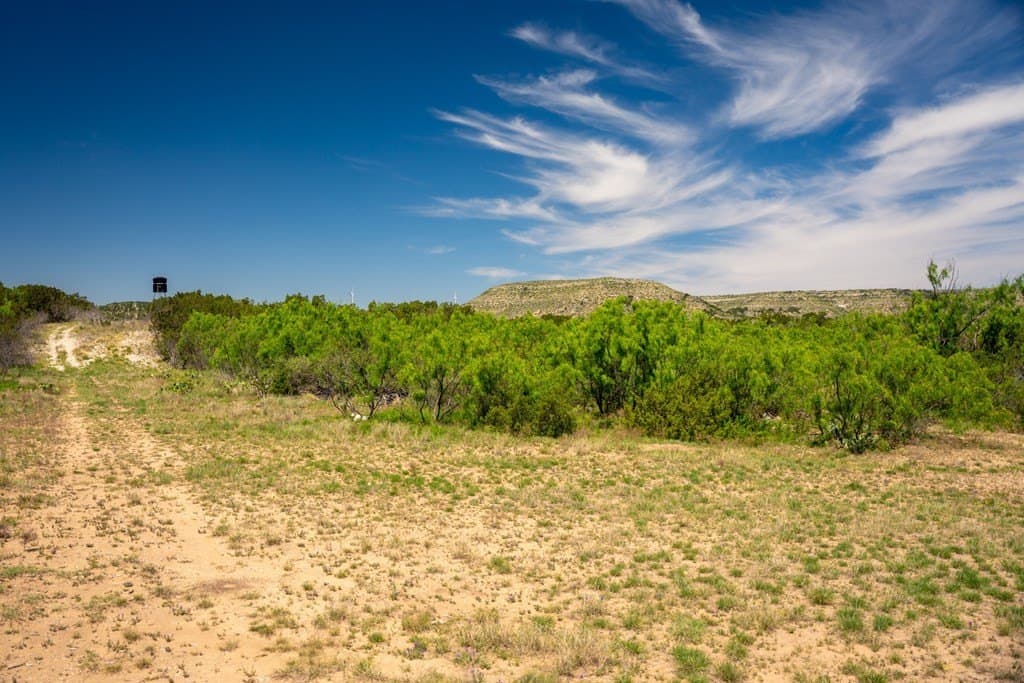 645 acres in Coke County - photo 51