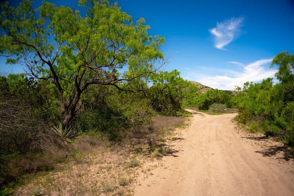 645 acres in Coke County - photo 25
