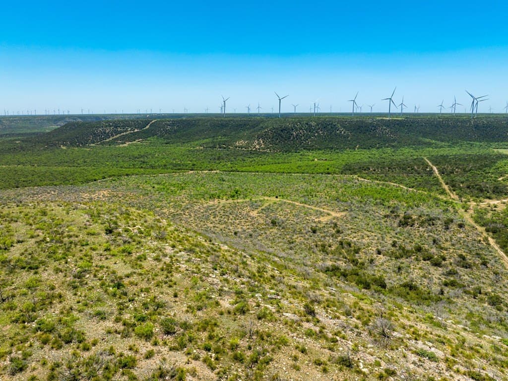 645 acres in Coke County - photo 3
