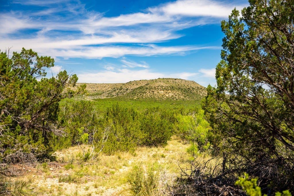 645 acres in Coke County - photo 65
