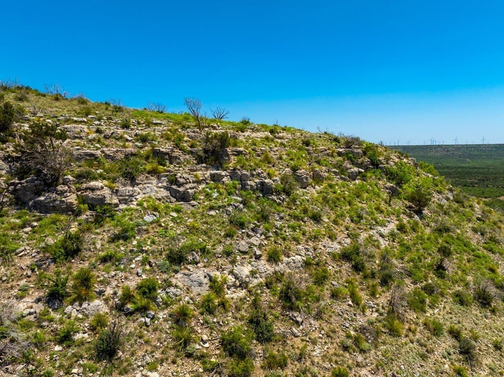 645 acres in Coke County - photo 13