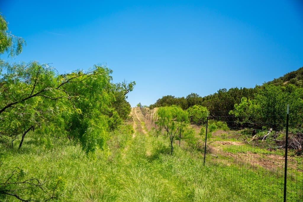 645 acres in Coke County - photo 60