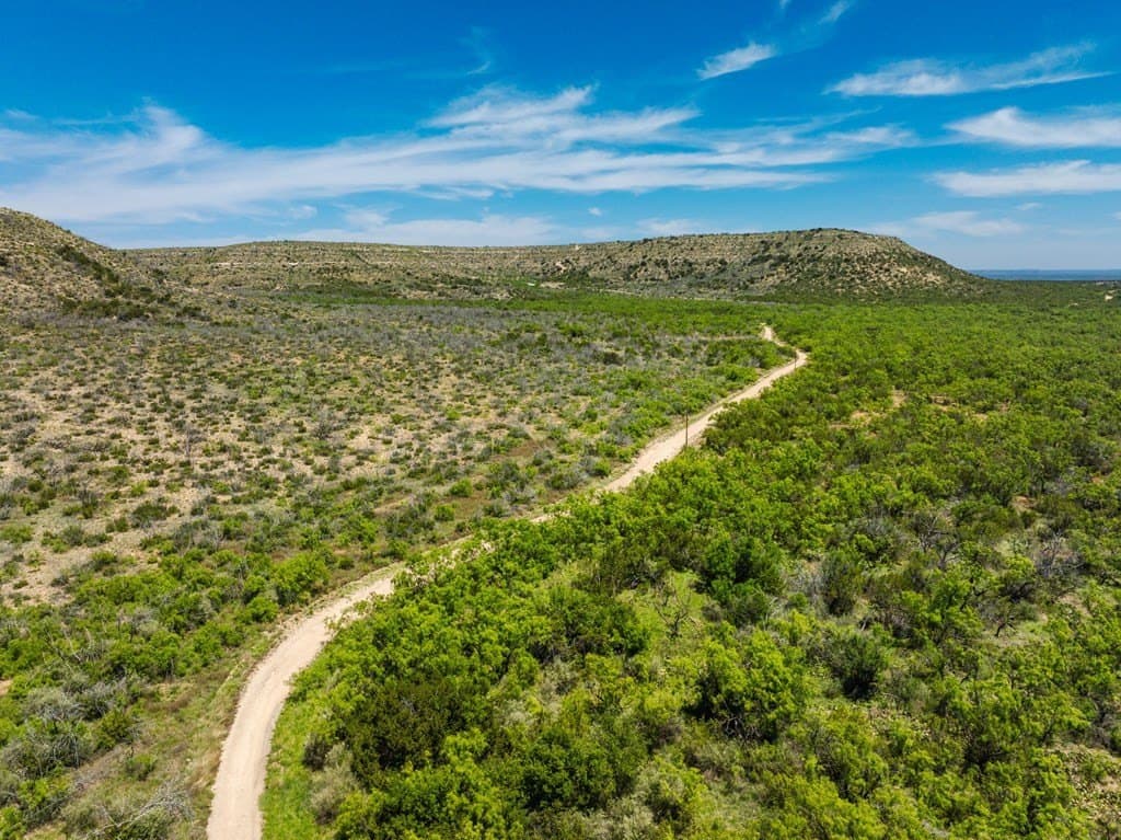 645 acres in Coke County - photo 6