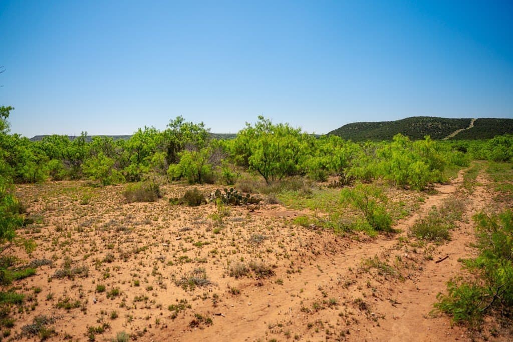 645 acres in Coke County - photo 31