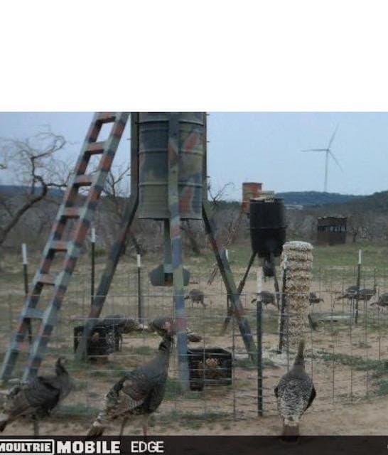645 acres in Coke County - photo 85