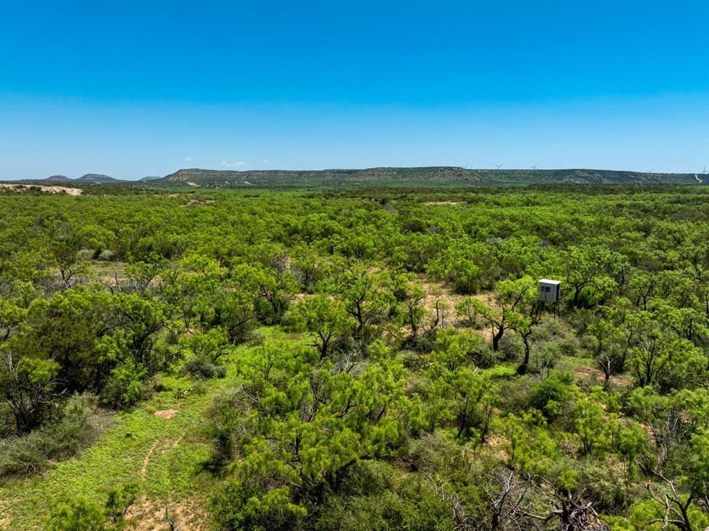 645 acres in Coke County - photo 15