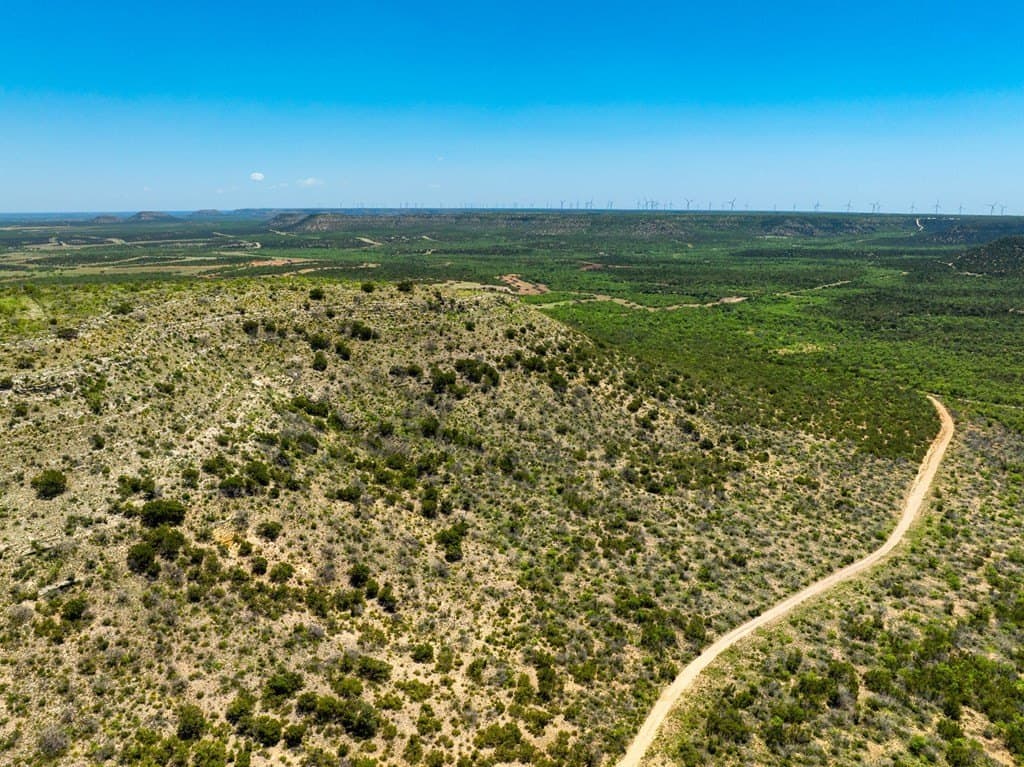 645 acres in Coke County - photo 10