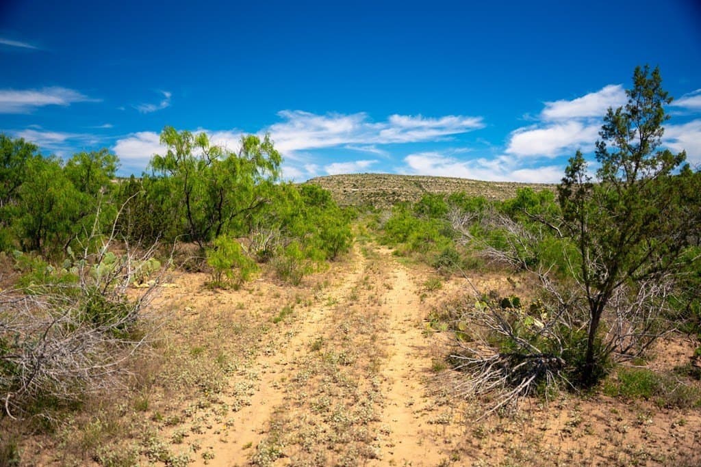 645 acres in Coke County - photo 30