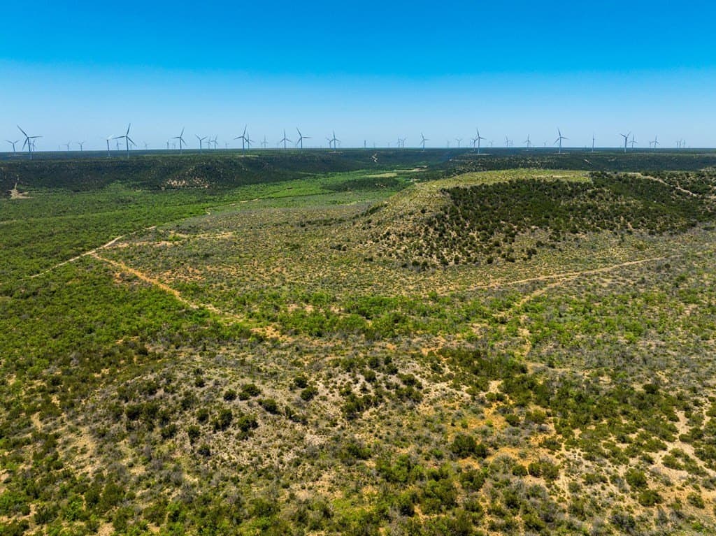 645 acres in Coke County - photo 11