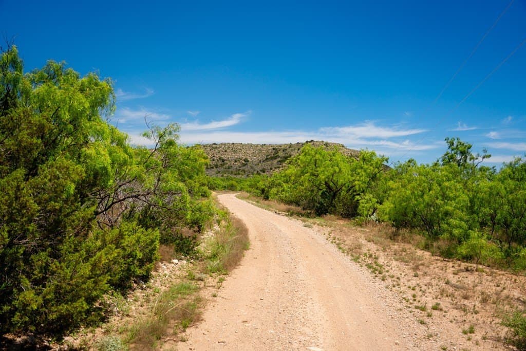 645 acres in Coke County - photo 74