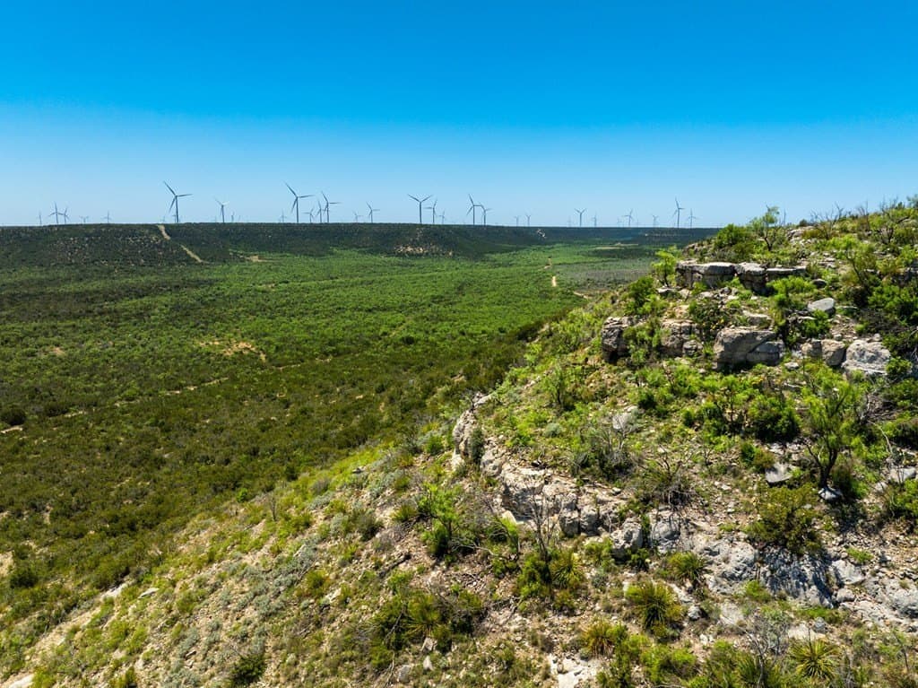 645 acres in Coke County - photo 14
