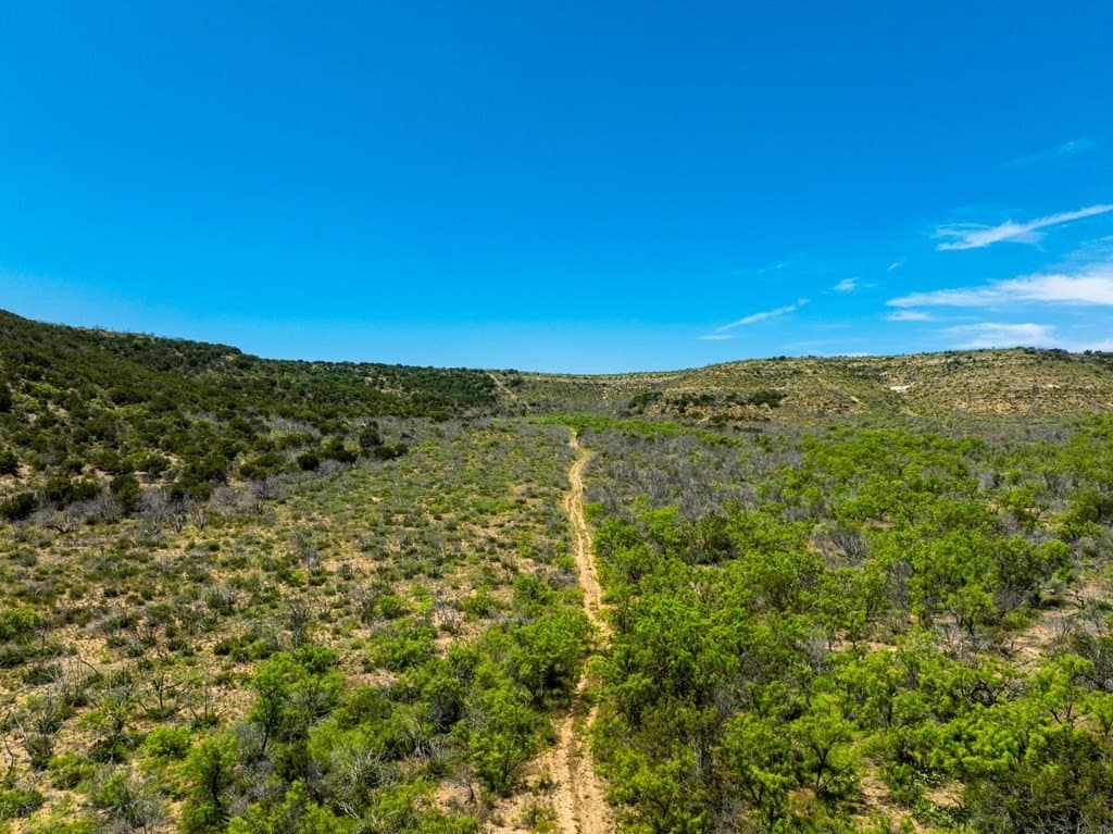 645 acres in Coke County - photo 17