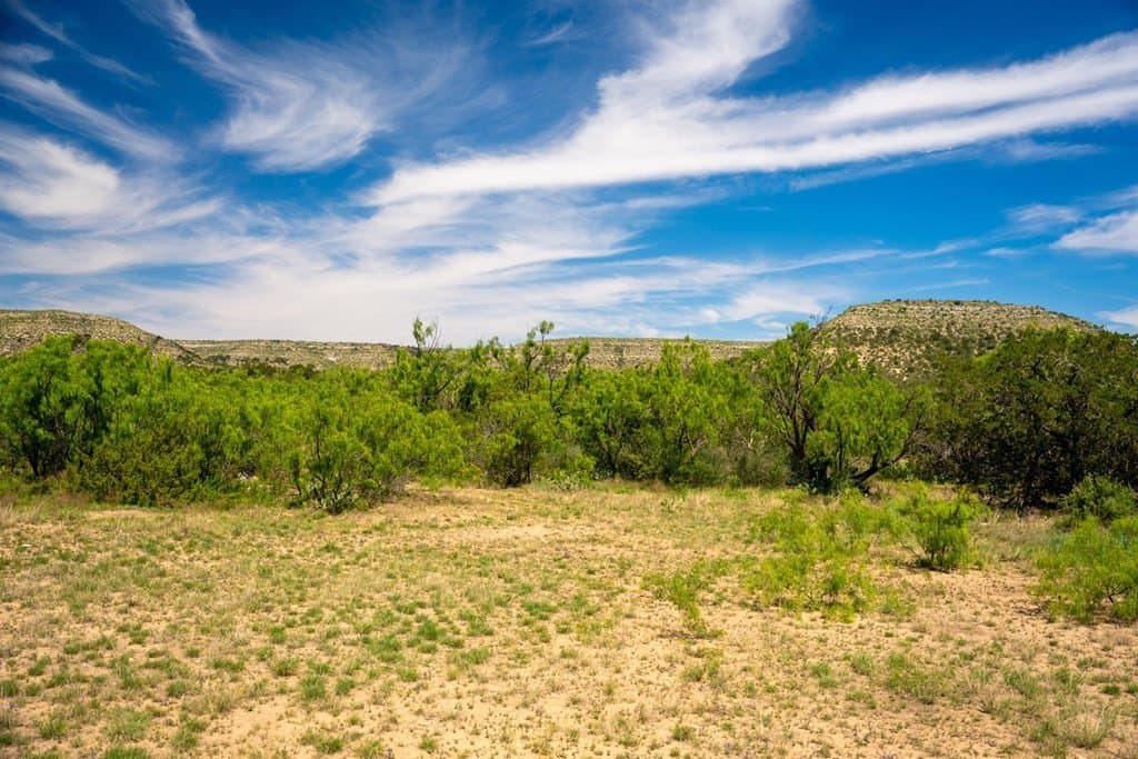 645 acres in Coke County - photo 52