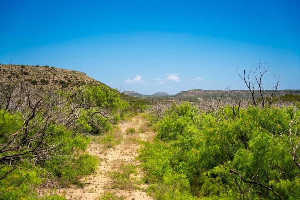 645 acres in Coke County - photo 82