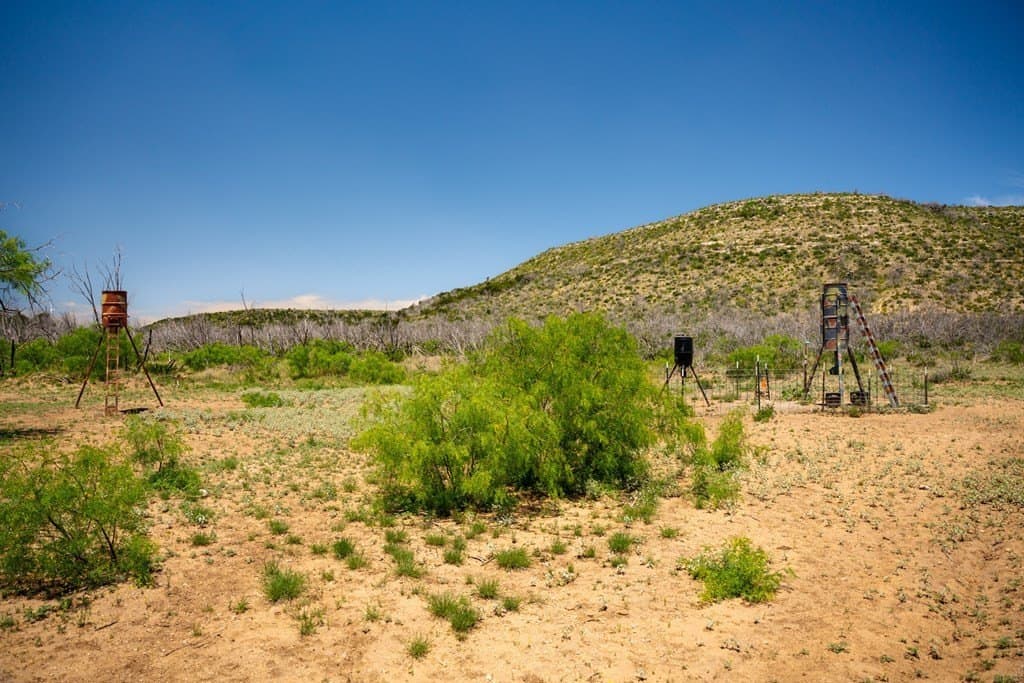 645 acres in Coke County - photo 70