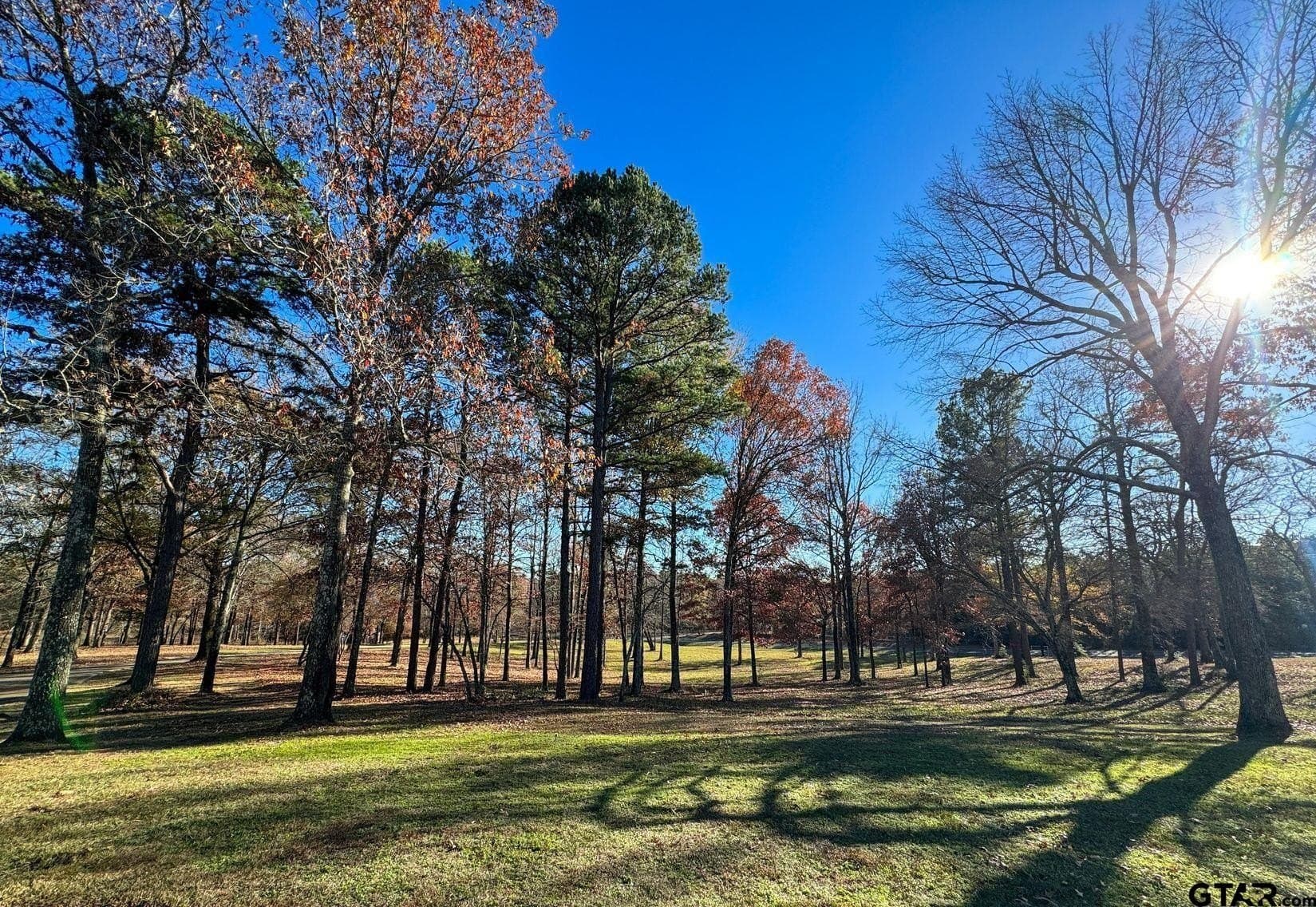 20 acres in Cass County - photo 45