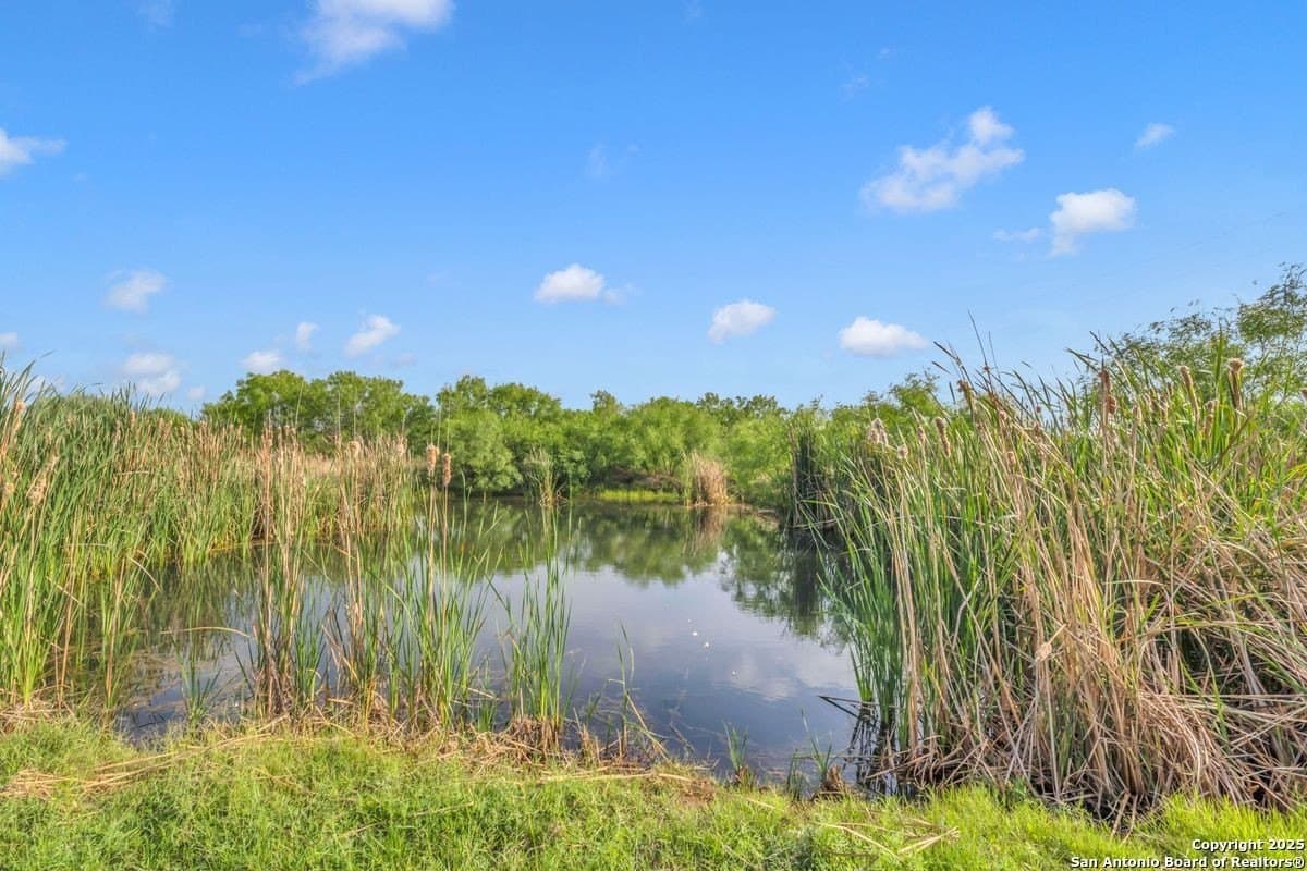 0 acres in La Salle County - photo 23