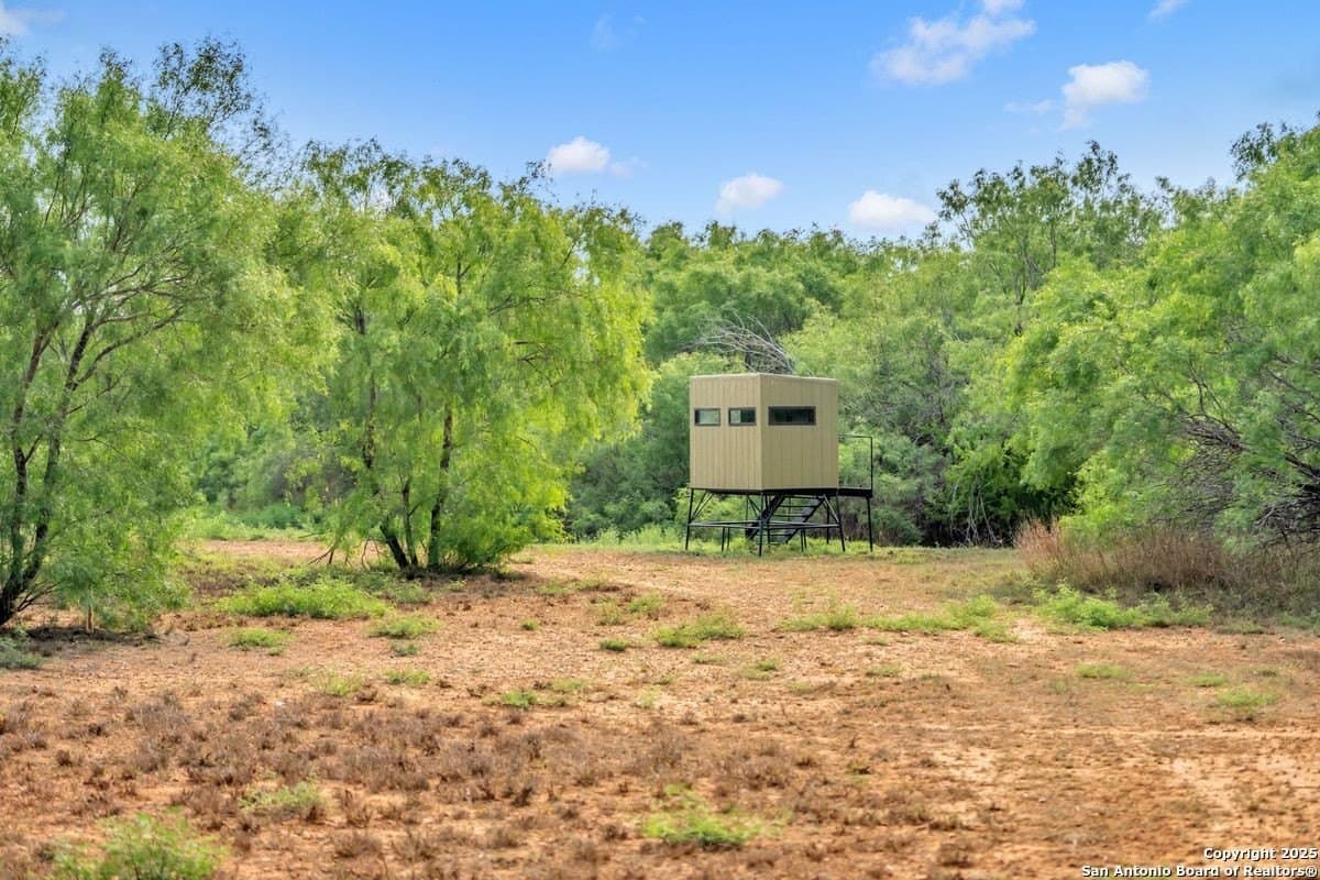 0 acres in La Salle County - photo 9