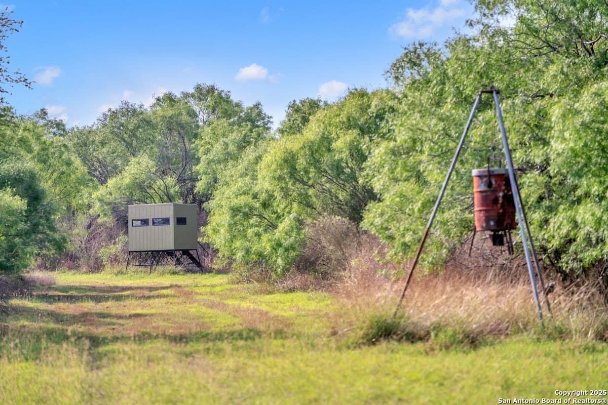 0 acres in La Salle County - photo 14