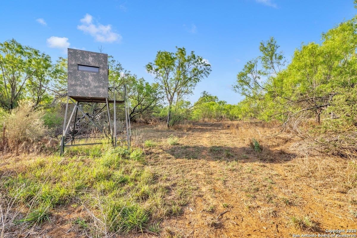 0 acres in La Salle County - photo 25