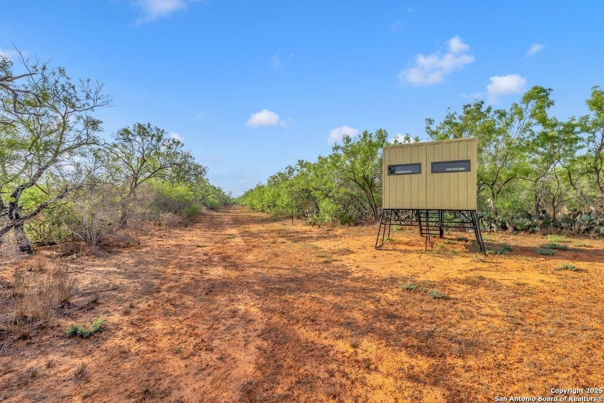 0 acres in La Salle County - photo 26