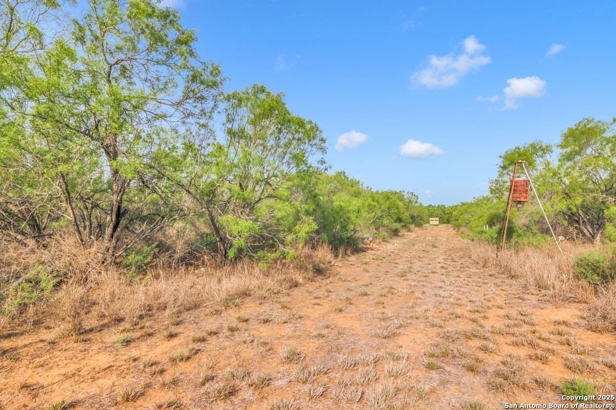 0 acres in La Salle County - photo 22