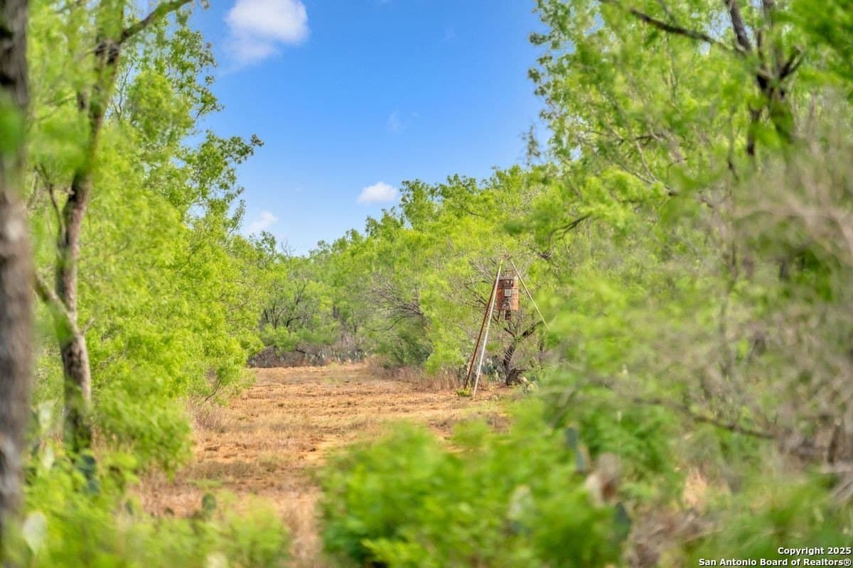 0 acres in La Salle County - photo 12
