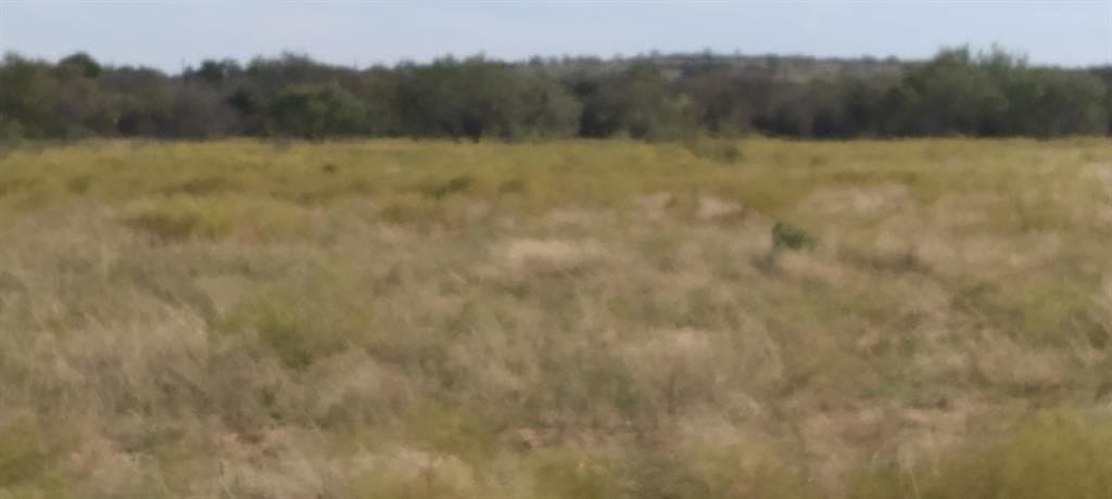 10.01 acres in Comanche County - photo 7