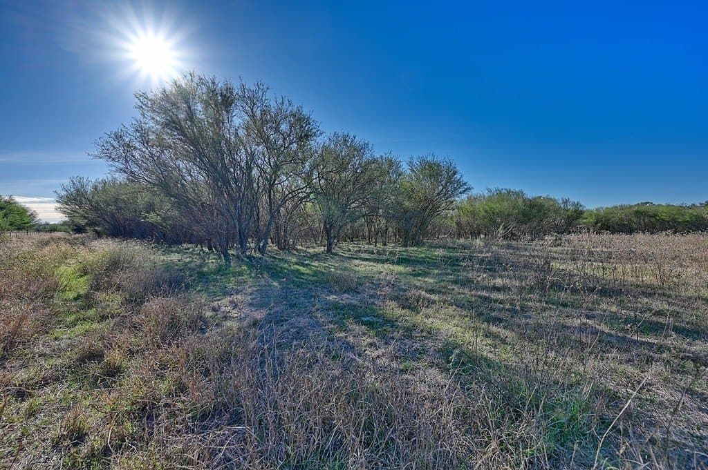 9.28 acres in Fayette County - photo 7