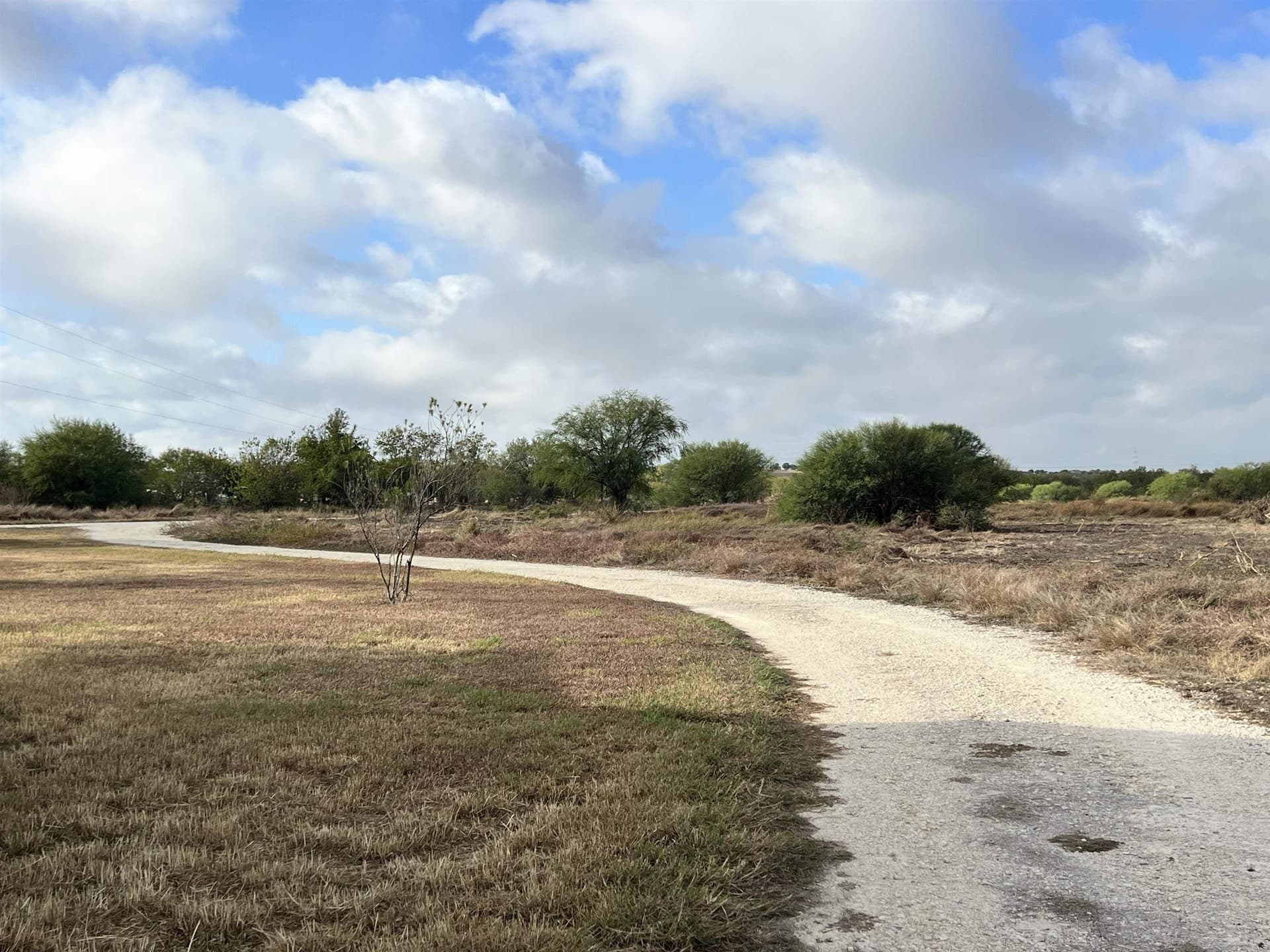 16.29 acres in Guadalupe County - photo 12