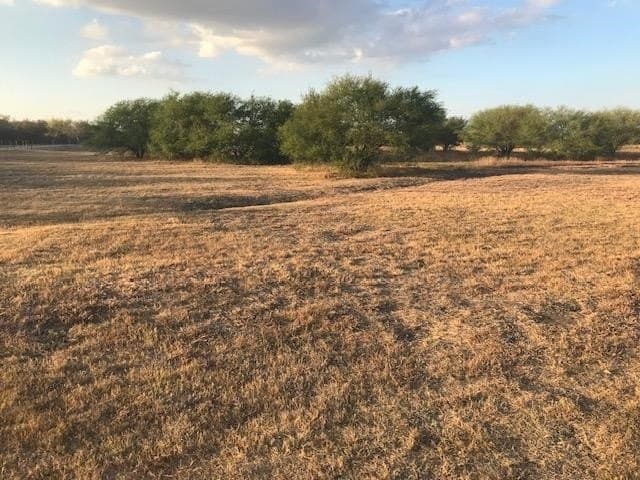 16.29 acres in Guadalupe County - photo 11