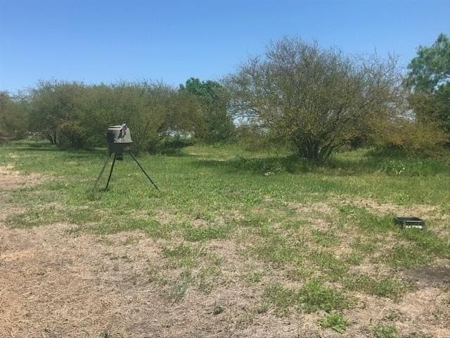 16.29 acres in Guadalupe County - photo 13