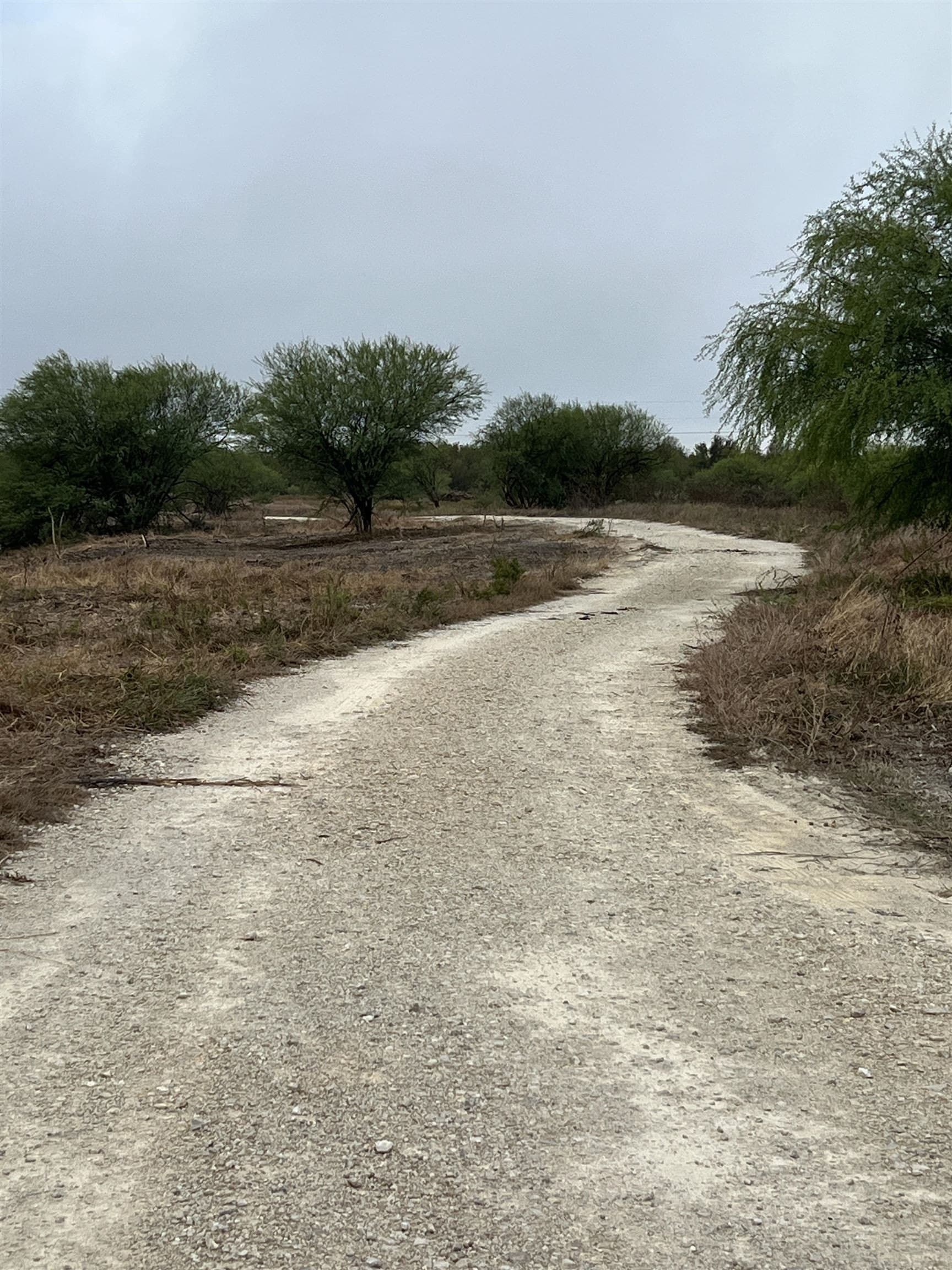 16.29 acres in Guadalupe County - photo 10