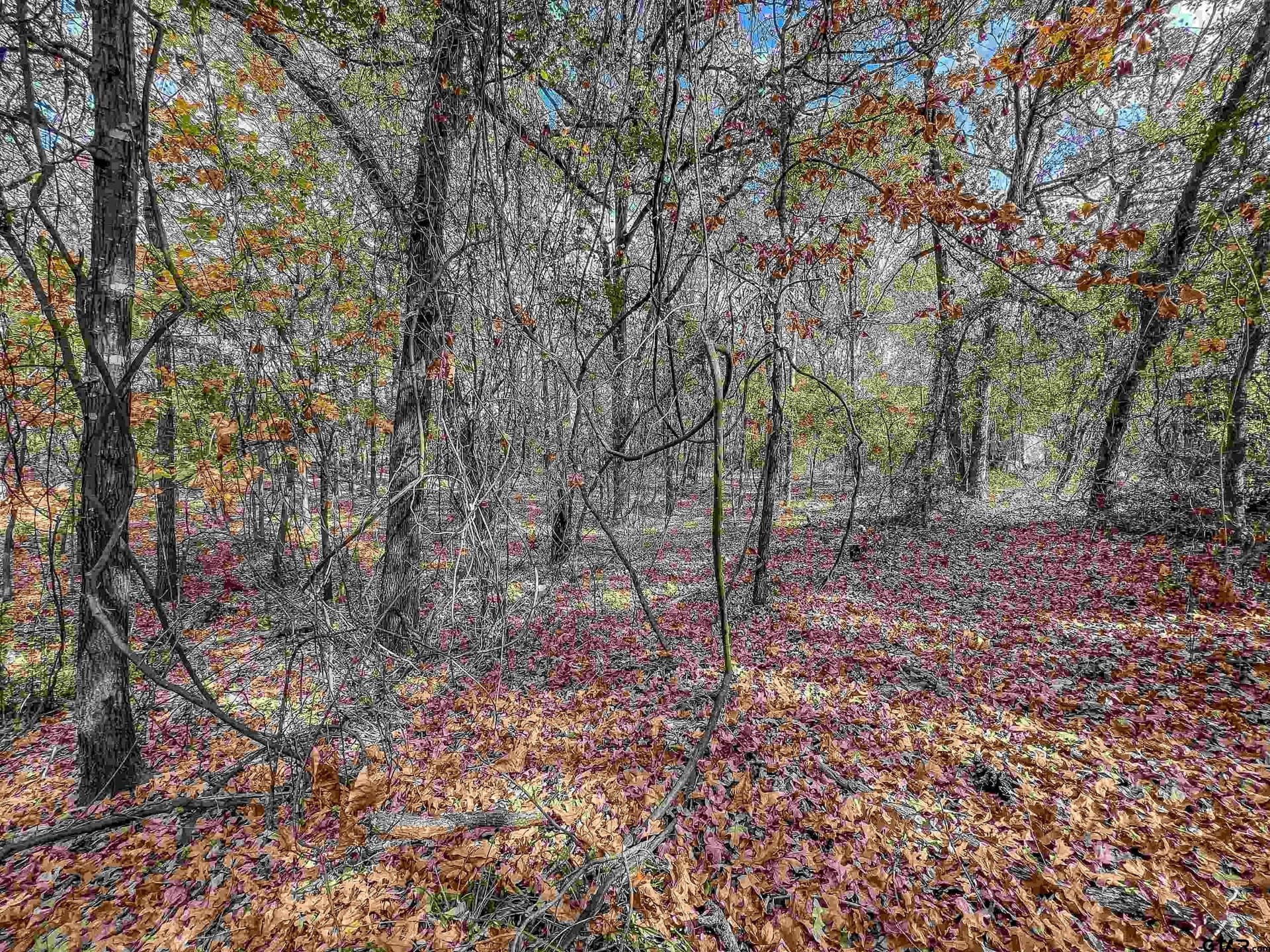 10.9 acres in Franklin County - photo 31