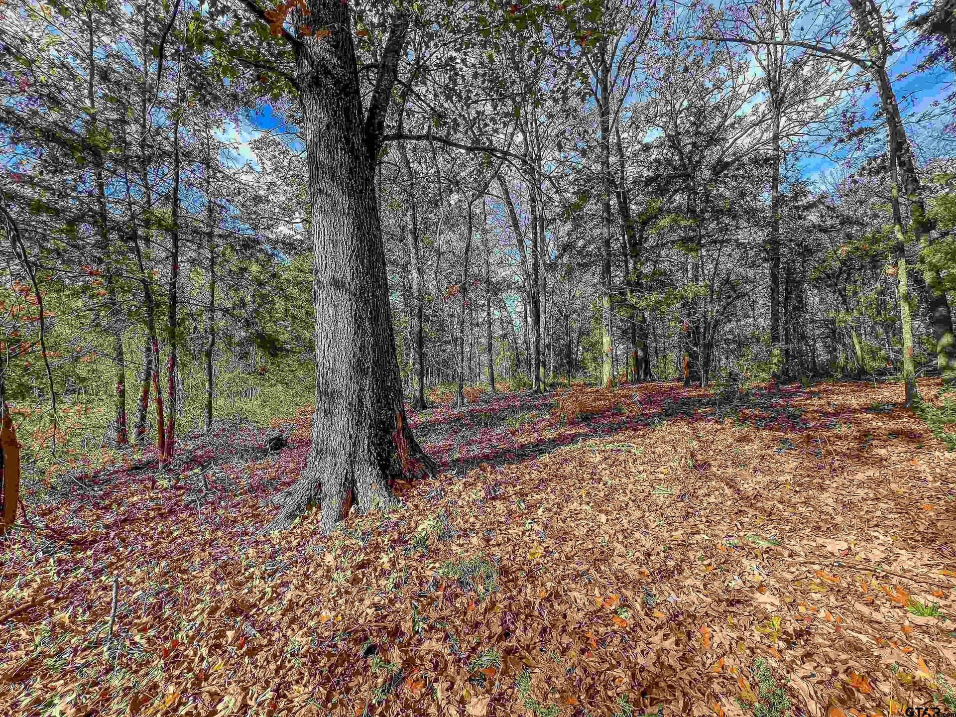10.9 acres in Franklin County - photo 33